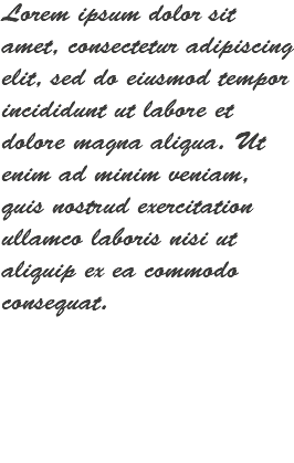 Lorem ipsum dolor sit amet, consectetur adipiscing elit, sed do eiusmod tempor incididunt ut labore et dolore magna aliqua. Ut enim ad minim veniam, quis nostrud exercitation ullamco laboris nisi ut aliquip ex ea commodo consequat. 